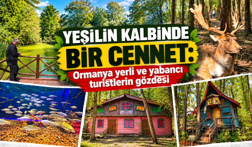 Yeşilin kalbinde bir cennet: Ormanya yerli ve yabancı turistlerin gözdesi