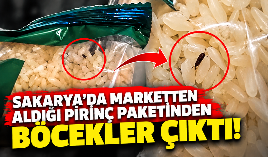 Sakarya’da marketten aldığı pirinç paketinden böcekler çıktı!