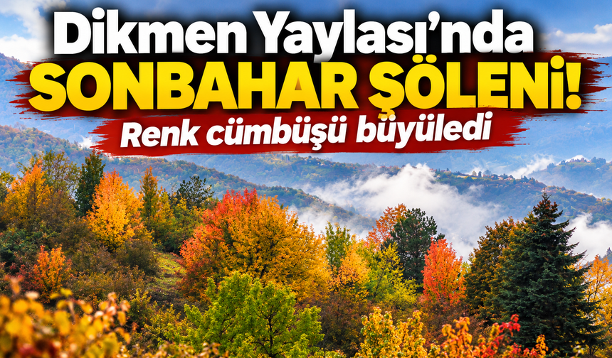 Dikmen Yaylası’nda sonbahar şöleni! Renk cümbüşü büyüledi