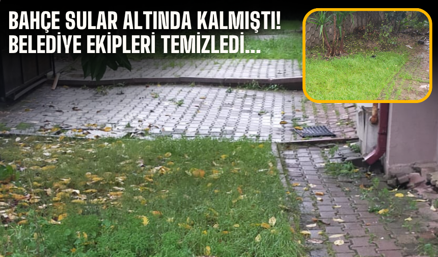 Bahçe sular altında kalmıştı! Belediye ekipleri temizledi...