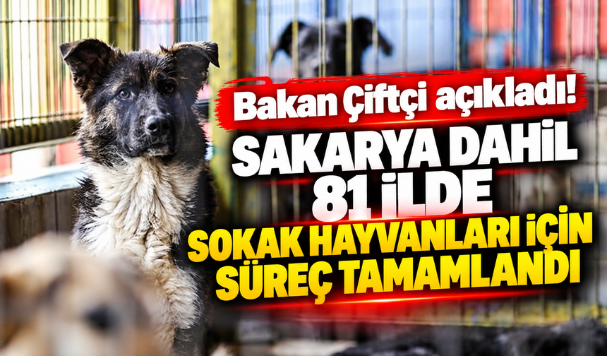 Bakan Çiftçi açıkladı! Sakarya dahil 81 ilde sokak hayvanları için süreç tamamlandı