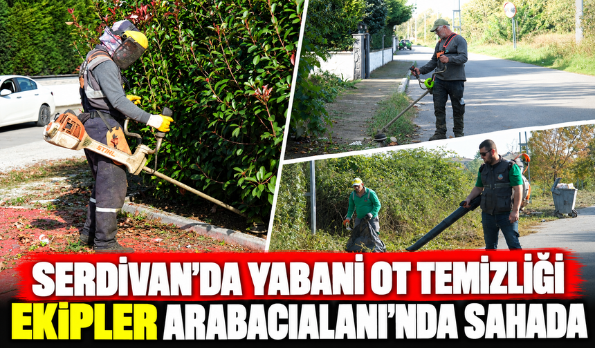 Serdivan'da yabani ot temizliği: Ekipler Arabacıalanı'nda sahada