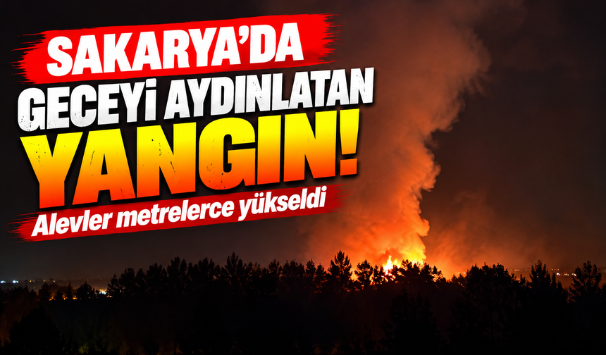 Erenler'de alevler geceyi aydınlattı!