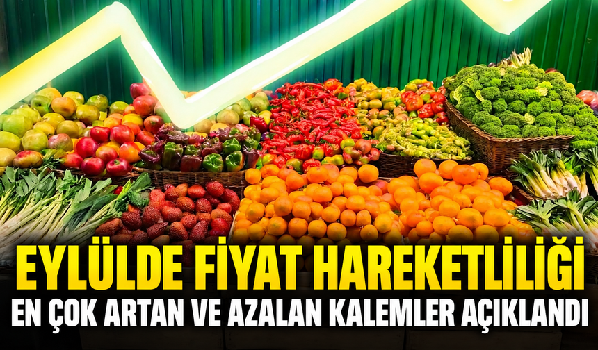 Eylülde Fiyat Hareketliliği: En Çok Artan ve Azalan Kalemler Açıklandı