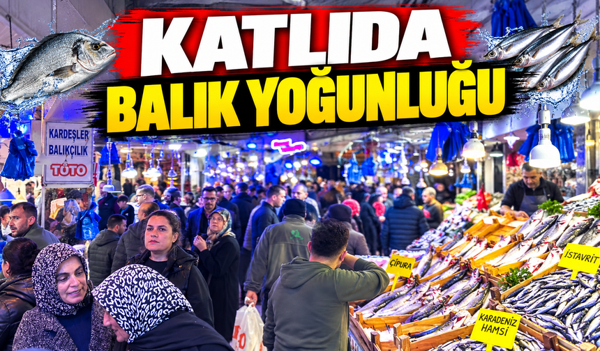 Adapazarı'nda palamut 100 TL'ye düştü!