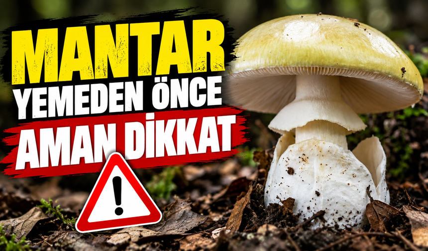Uzmanından mantar zehirlenmesi uyarısı! Pişirmek zehrini yok etmiyor
