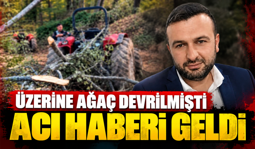 Karasu'da üzerine ağaç devrilmişti! 3 çocuk babasından acı haber