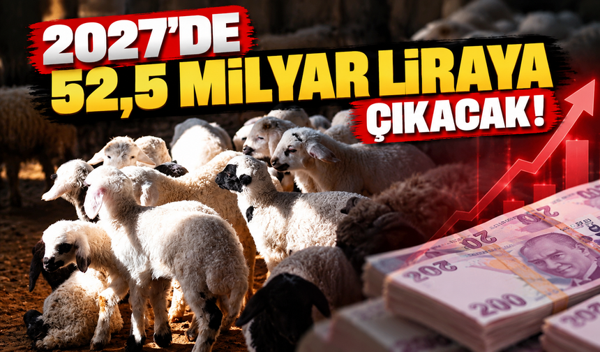 Hayvancılık desteklerine büyük artış! 2027'de 52,5 milyar liraya çıkacak