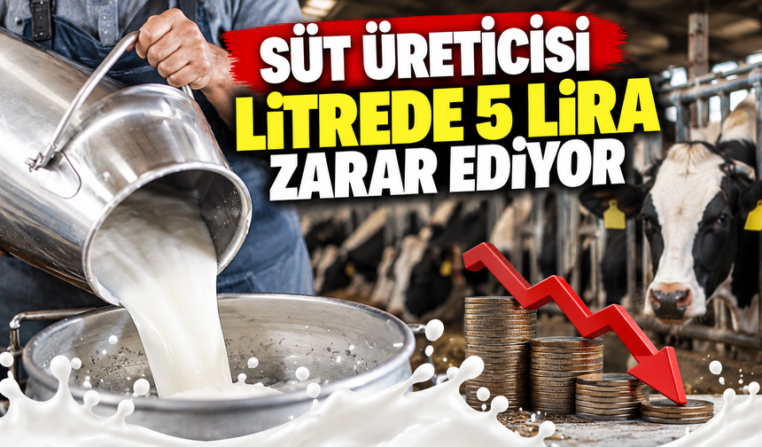 Süt üreticilerinden zam çağrısı! Litre başına zarar 5 lirayı aştı