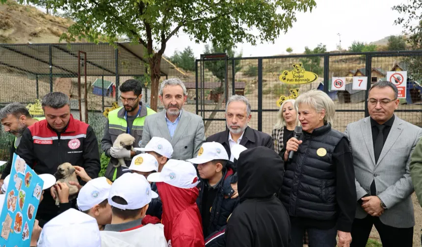 Kayseri Talas'ta can dostların özel günü