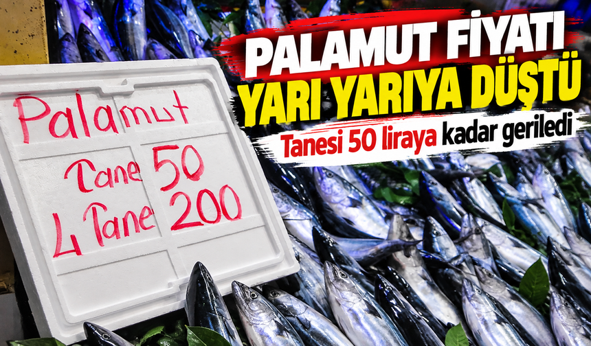 Palamut fiyatı yarı yarıya düştü: Tanesi 50 liraya kadar geriledi