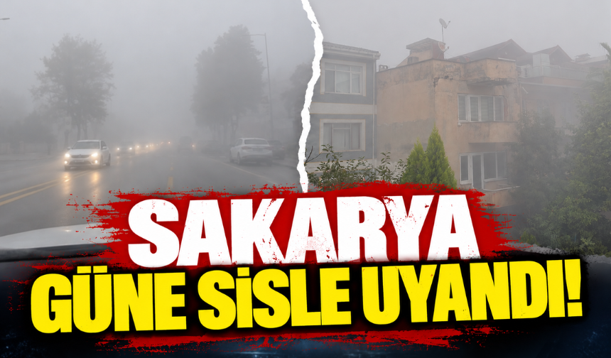 Sakarya güne sisle uyandı!