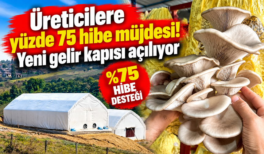 Üreticilere yüzde 75 hibe müjdesi! Yeni gelir kapısı açılıyor
