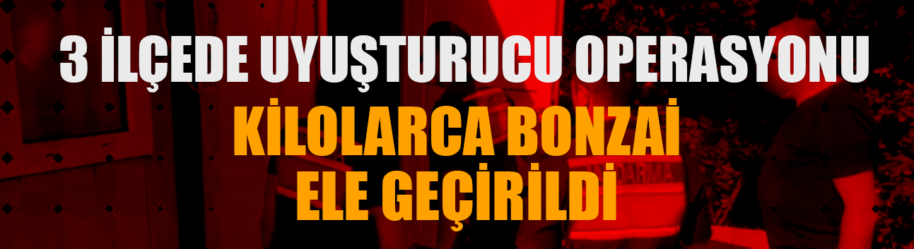 Kilolarca bonzai ele geçirildi