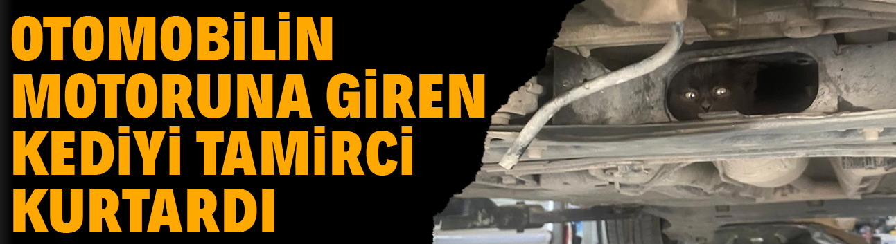 Otomobilin motoruna giren kediyi tamirci kurtardı