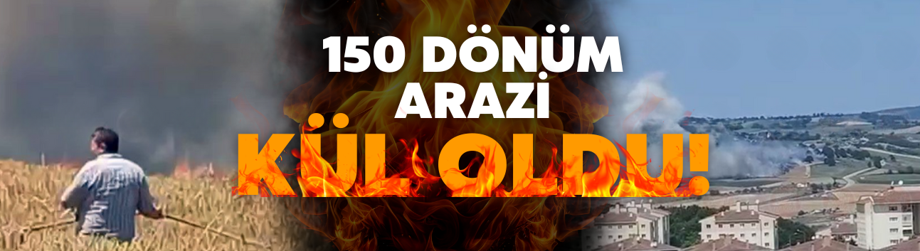 150 dönüm arazi alevler içinde kaldı!