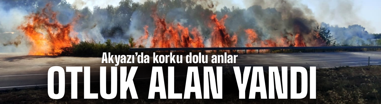 Akyazı'da otluk alanda korkutan yangın!