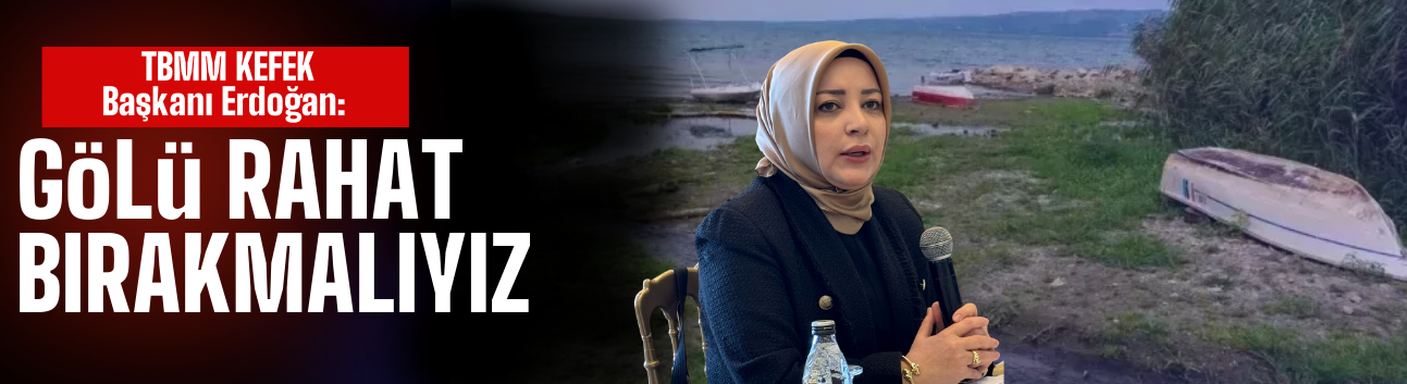 TBMM KEFEK Başkanı Erdoğan Sapanca Gölü hakkında konuştu