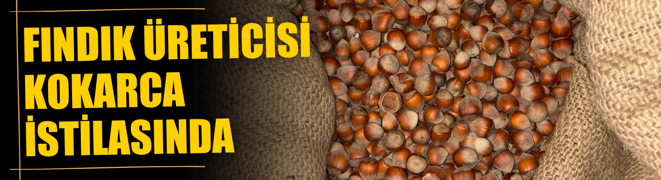 Fındık Üreticisi Kokarca İstilasında