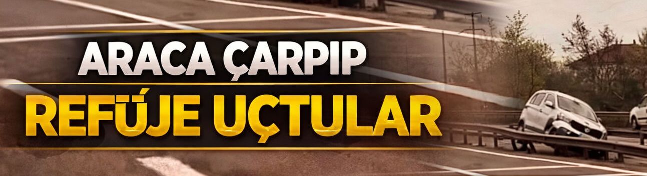 Araca çarpıp refüje uçtular!