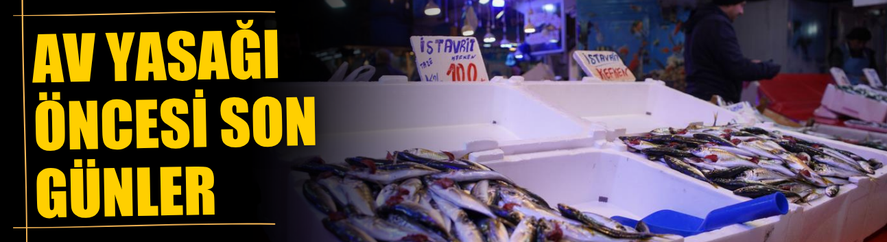 Av yasağı öncesi son günler: Tezgahlarda son balıklar