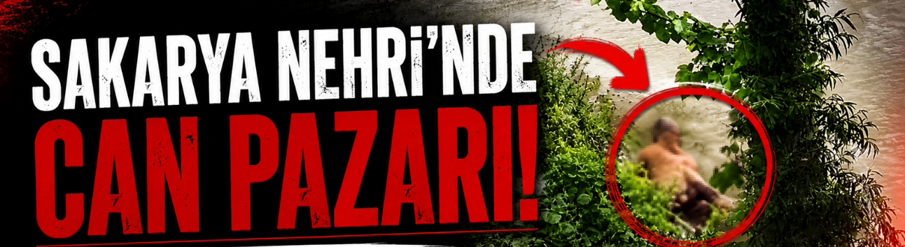 Sakarya Nehri’nde akıntıya kapılan inek telef oldu