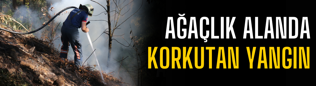 Adapazarı'nda Ağaçlık Alanda Yangın! Mahalleyi Duman Kapladı