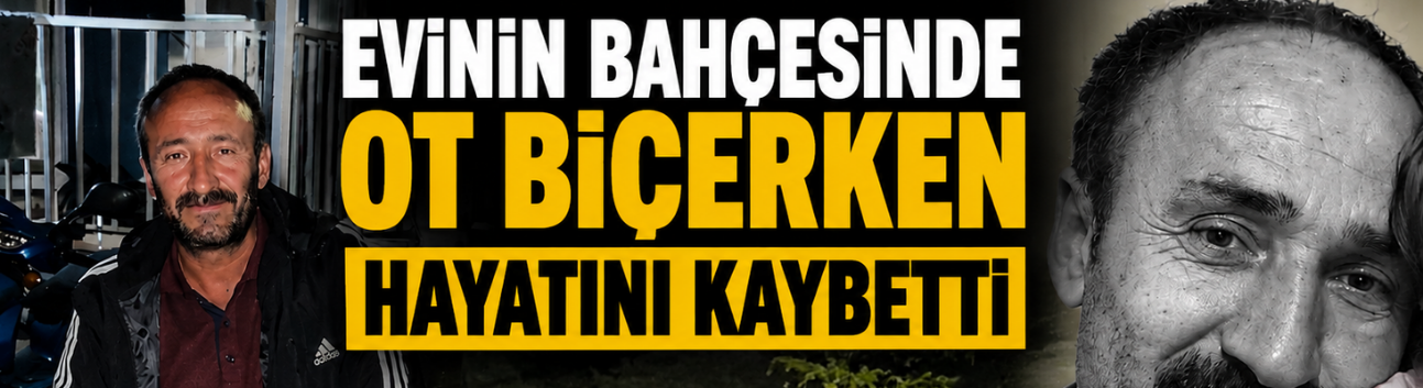 Evinin Bahçesinde Ot Biçerken Hayatını Kaybetti
