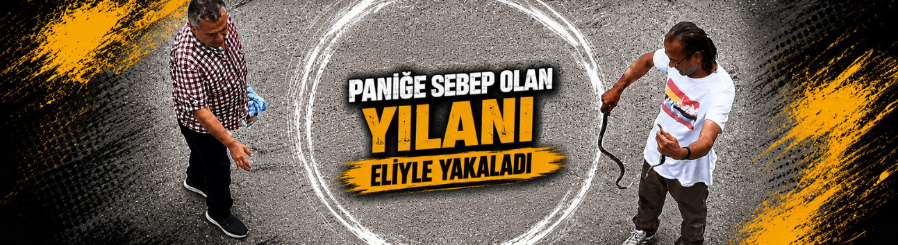 Paniğe sebep olan yılanı eliyle yakaladı