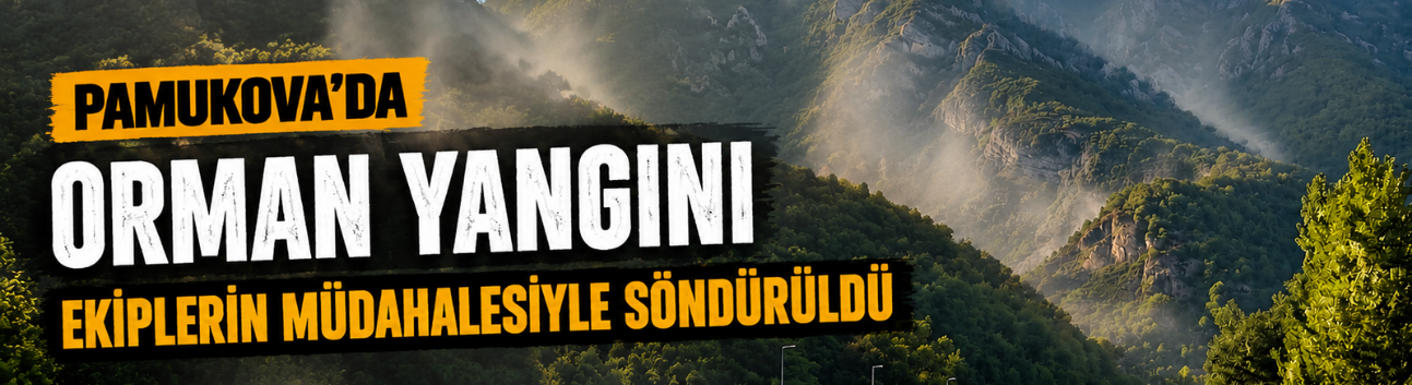 Pamukova’da orman yangını ekiplerin müdahalesiyle söndürüldü