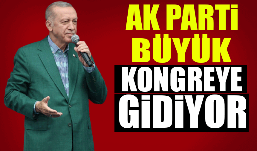 Son kararı Cumhurbaşkanı Erdoğan verecek