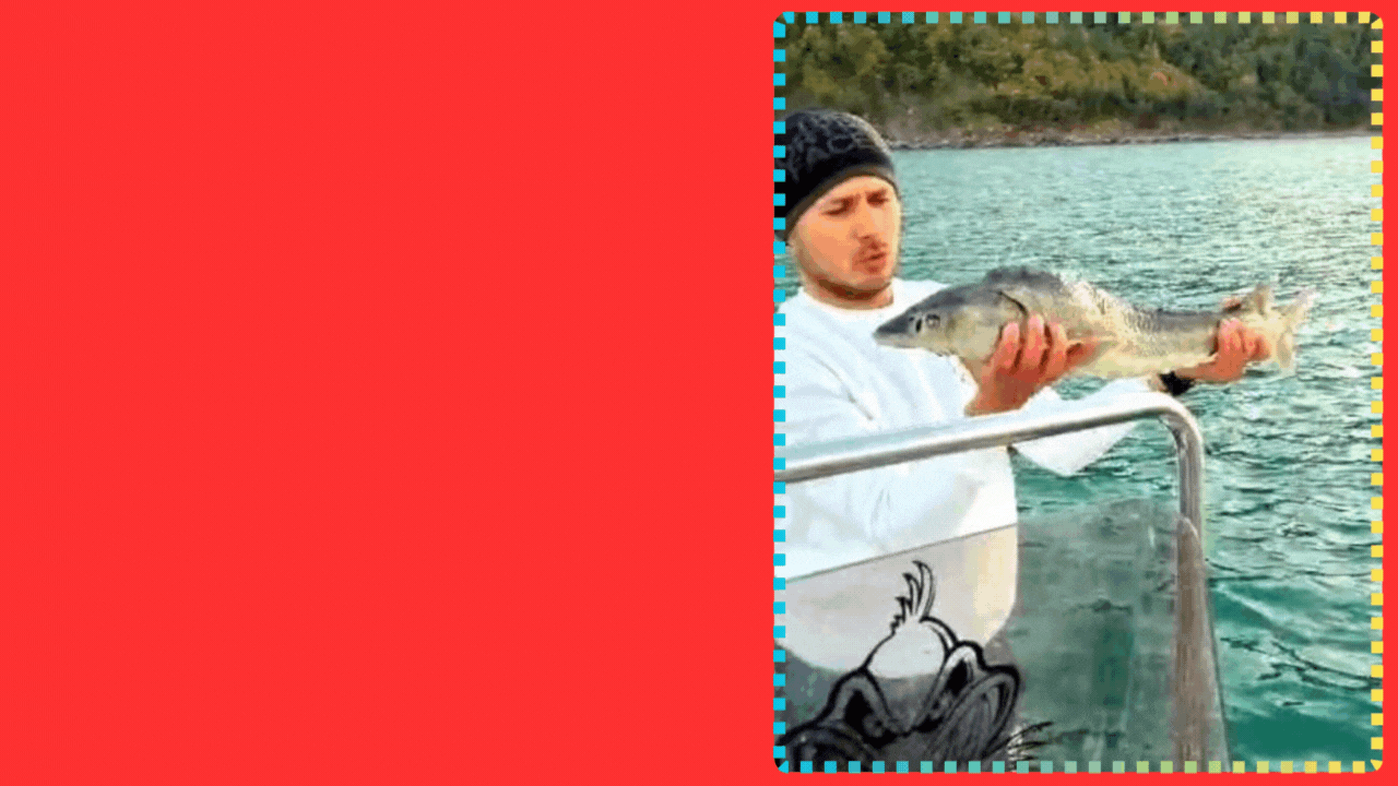 Bartınlı bir balıkçı 2 milyon TL değerindeki balık yakaladı