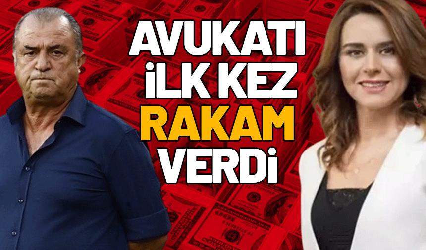 Fatih Terim, Seçil Erzan'a kaç milyon dolar kaptırdı?