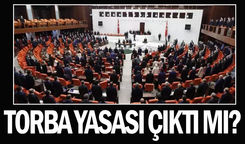 TORBA YASA ÇIKTI MI? 2. Torba Yasada Neler Var? - YENİ SAKARYA GAZETESİ