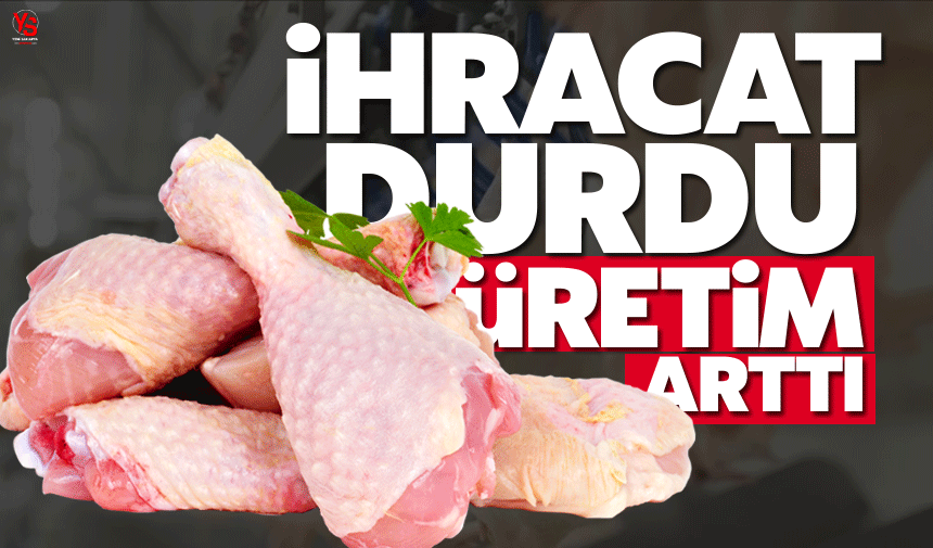 İhracat durunca üretimi arttı