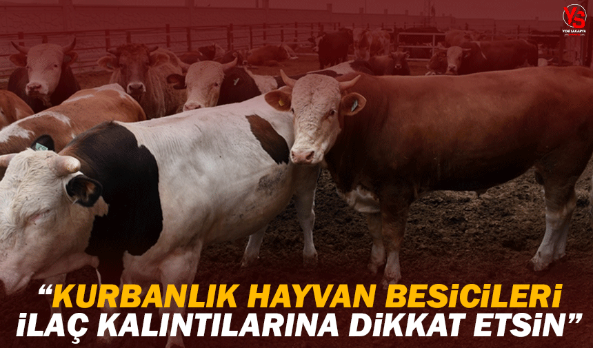 Kurbanlık hayvan besicileri ilaç kalıntılarına dikkat etsin!