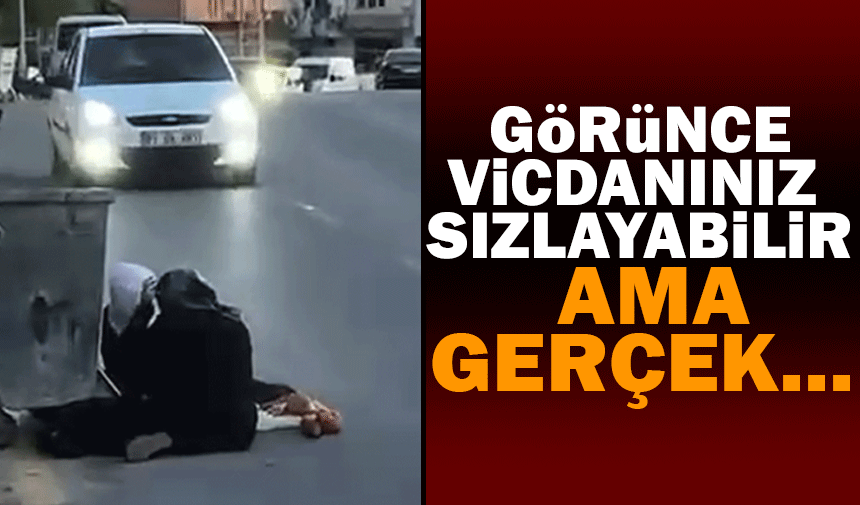 Görünce vicdanınız sızlayabilir ama gerçek...