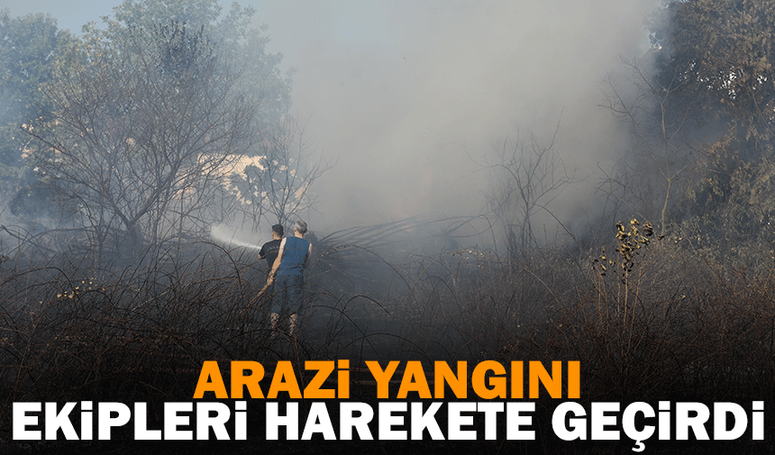 Sakarya'da arazi yangını ekipleri harekete geçirdi