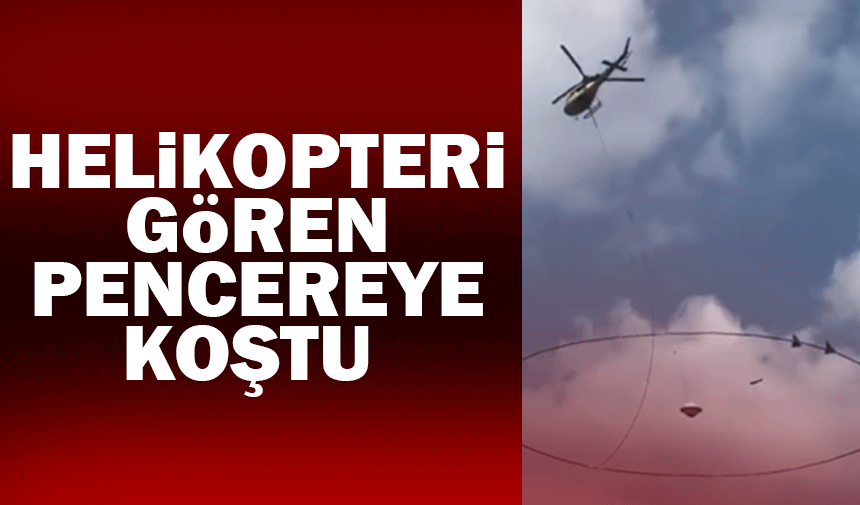 Helikopteri gören pencereye koştu!