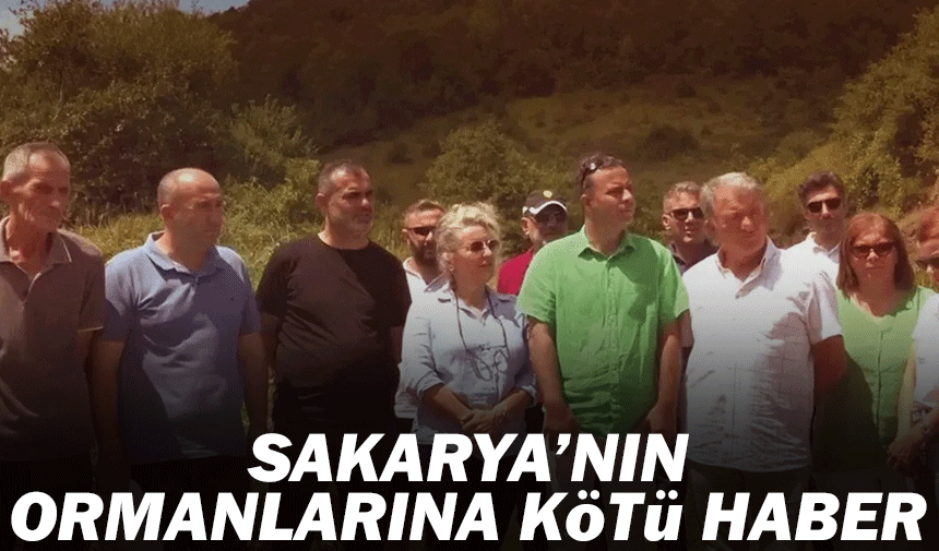 Sakarya'nın ormanlarına kötü haber