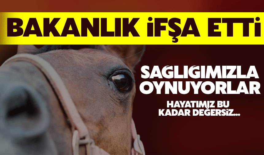 Bakanlık ifşa etti: Eşek eti de yemişiz!