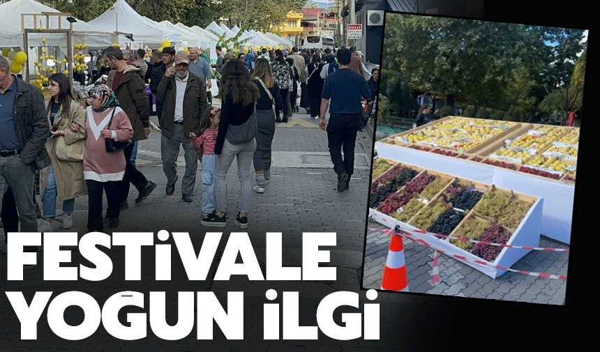 Festivale yoğun ilgi var