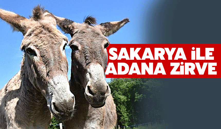 Sağlık tehlikesinde Adana ile yarışıyoruz!