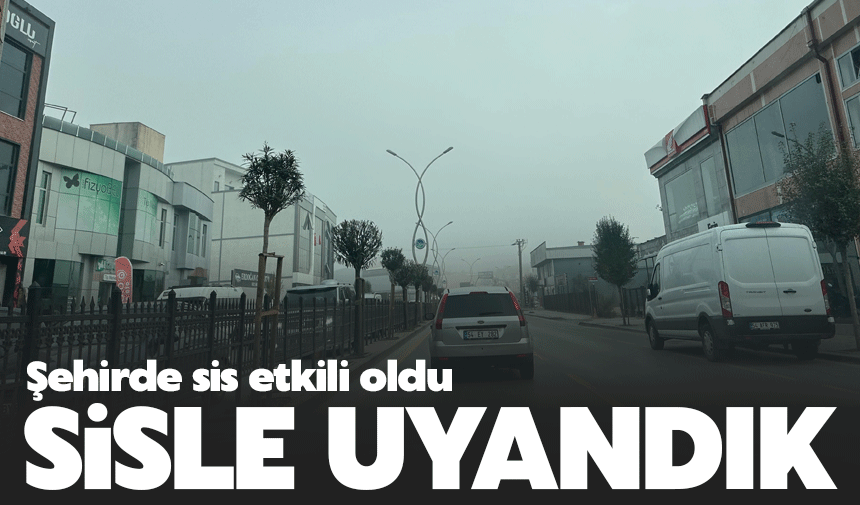 Havalar soğudu sis ve kıra etkili oldu