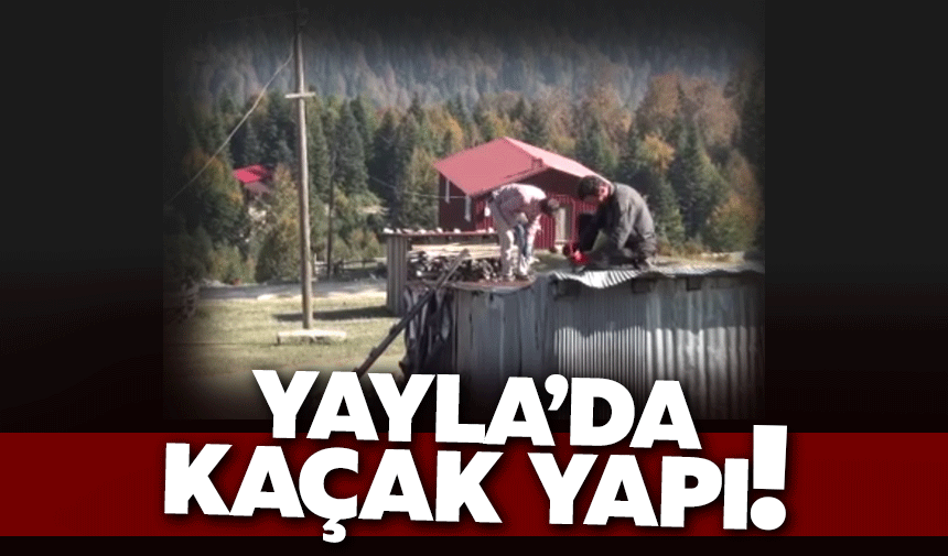 Yayladaki kaçak yapılar sökülüyor