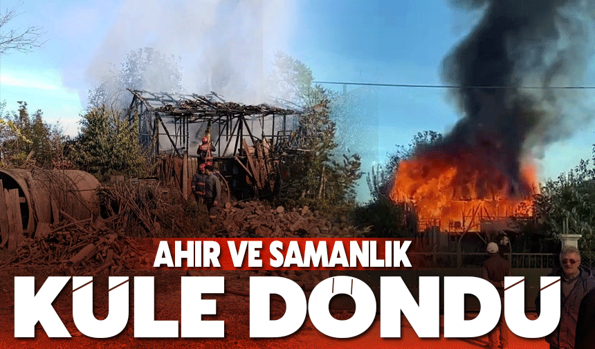 Ahır ve Samanlık Kül Oldu