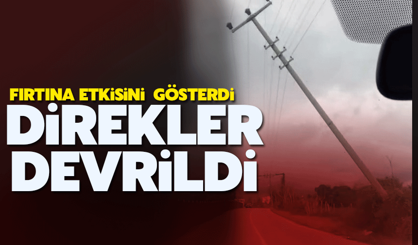 Fırtına elektrik direklerini devirdi