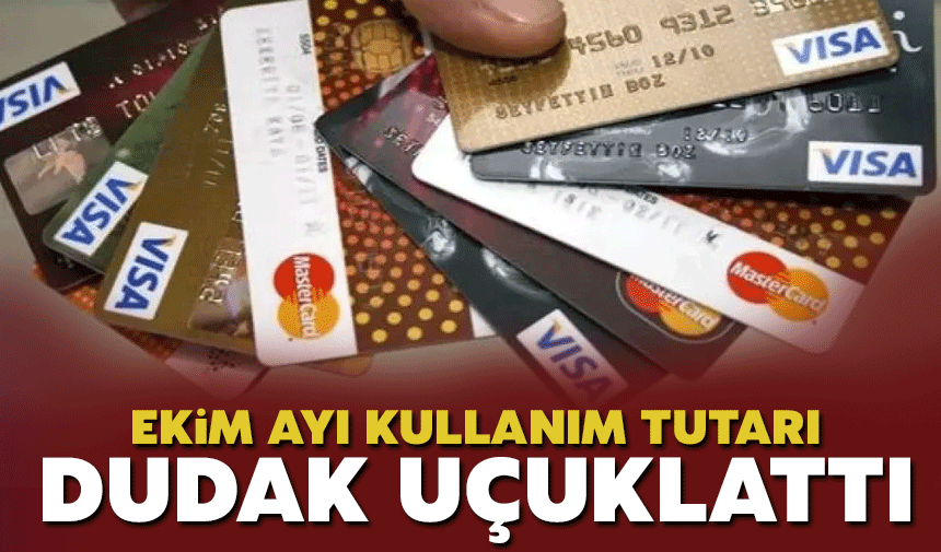 Ekim ayı kullanımı dudak uçuklattı