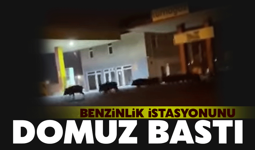 Benzinlikte gece yarısı sürüyle geçtiler