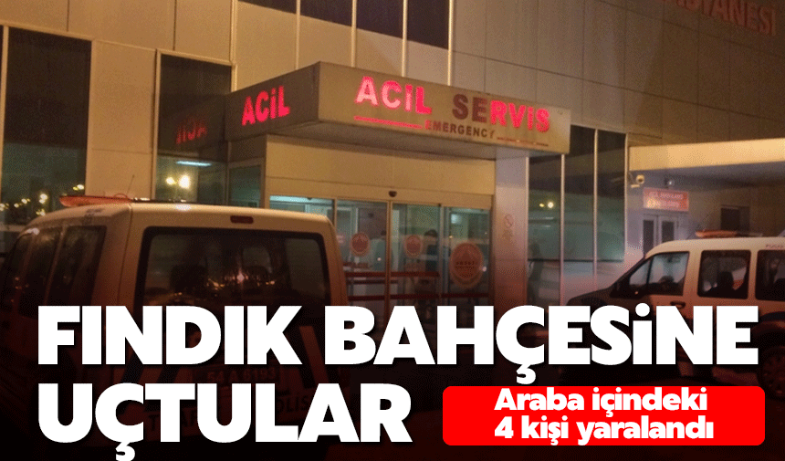 Kontrolü kaybetti fındık bahçesine uçtu! 4 yaralı